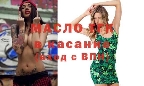 гашик Снежногорск